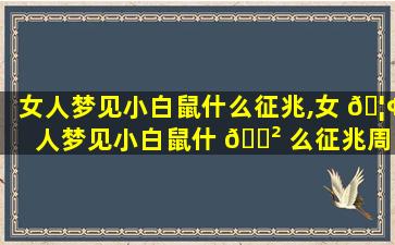 女人梦见小白鼠什么征兆,女 🦢 人梦见小白鼠什 🌲 么征兆周公解梦